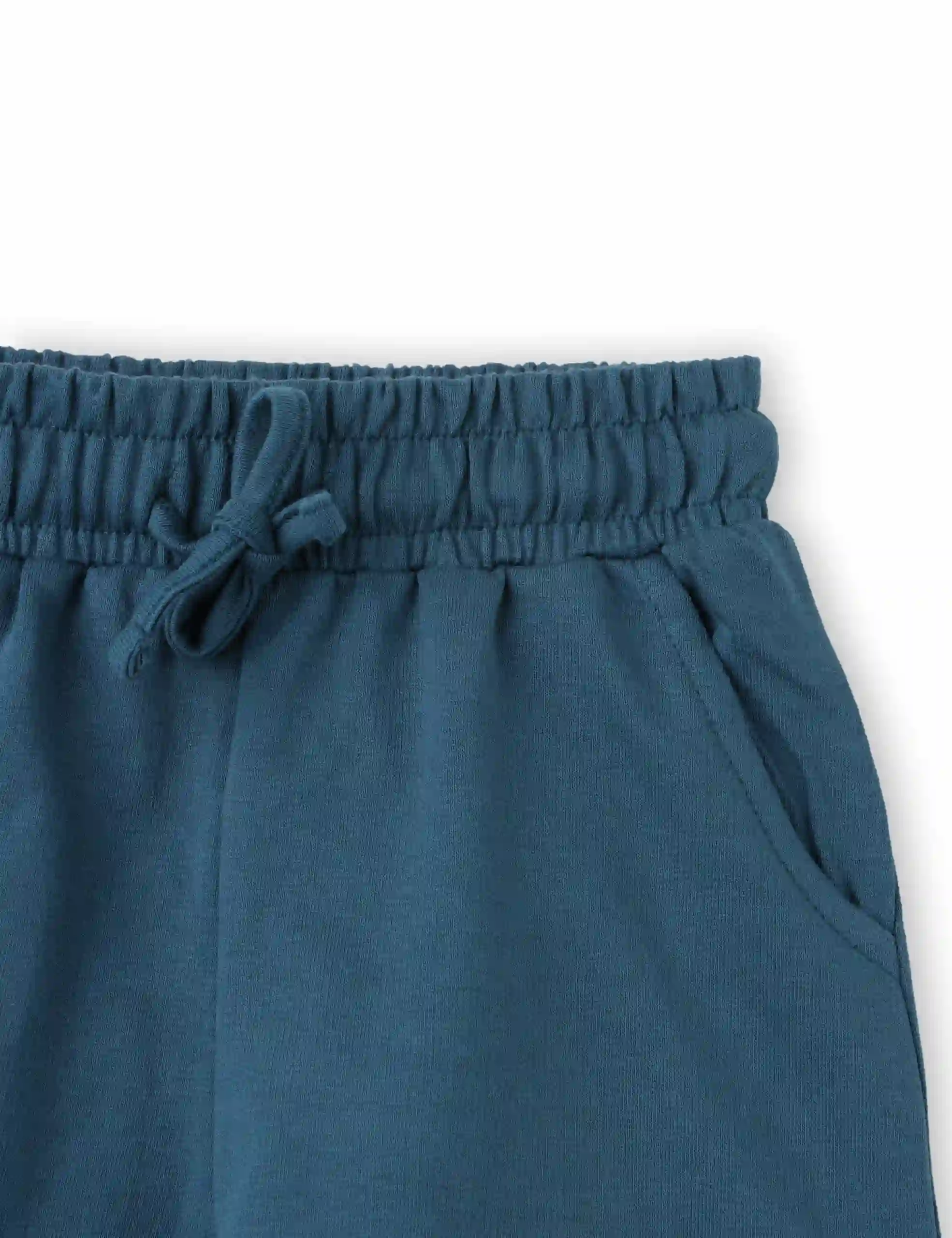 Boys Shorts Cotton French Terry Blue Coral Dino Crossing Zone - Image 3
