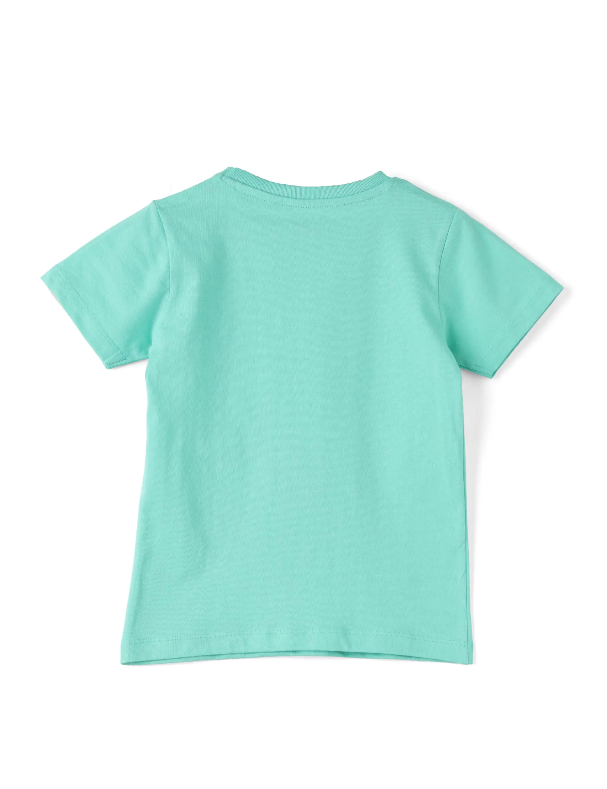 Buy Biscay Green Rock Star T-shirt for Boys – Soft Cotton Tee (Ages 2–6) - Image 5