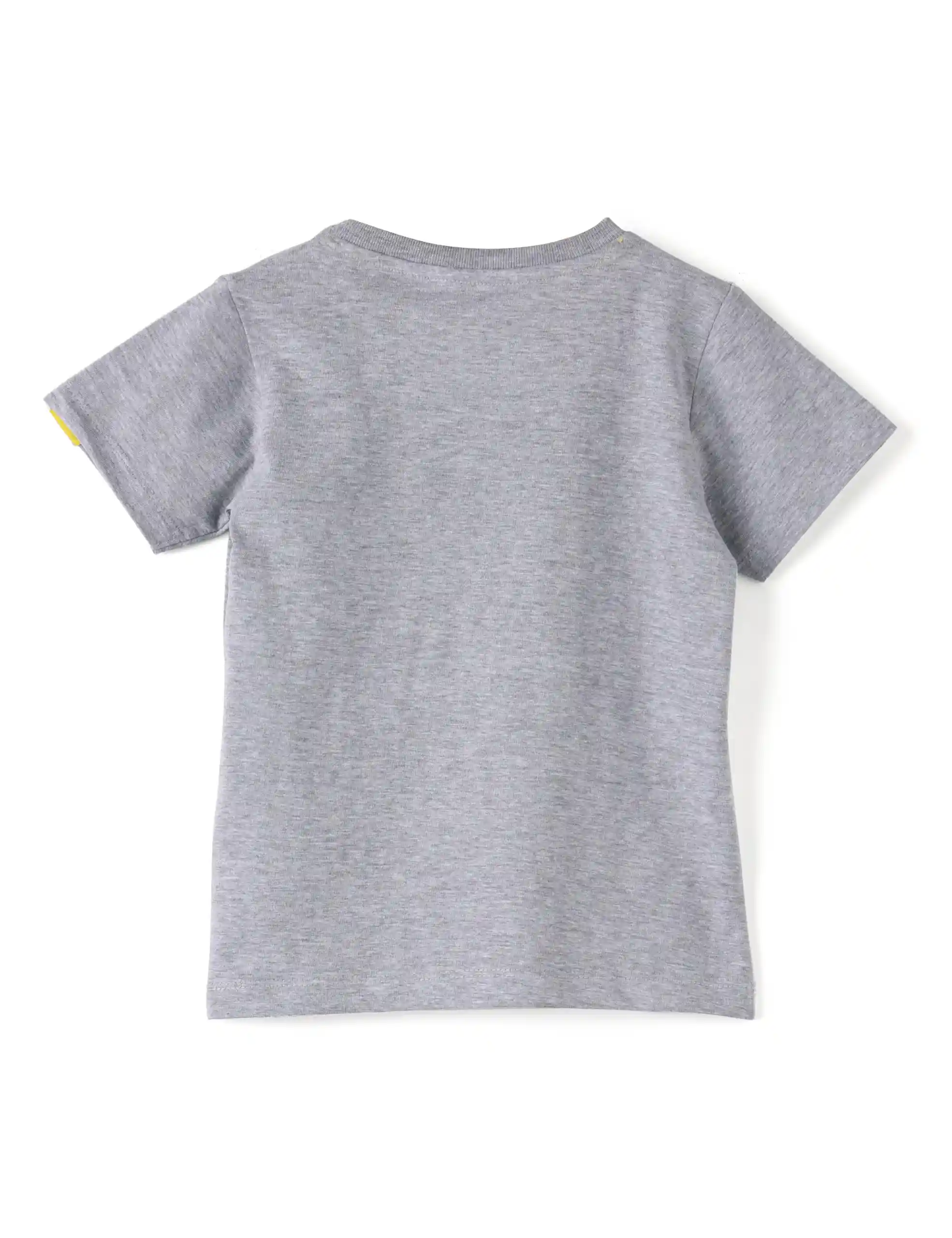 Boys T shirt Cotton Grey Heather Mélange Born Chiller - Image 5