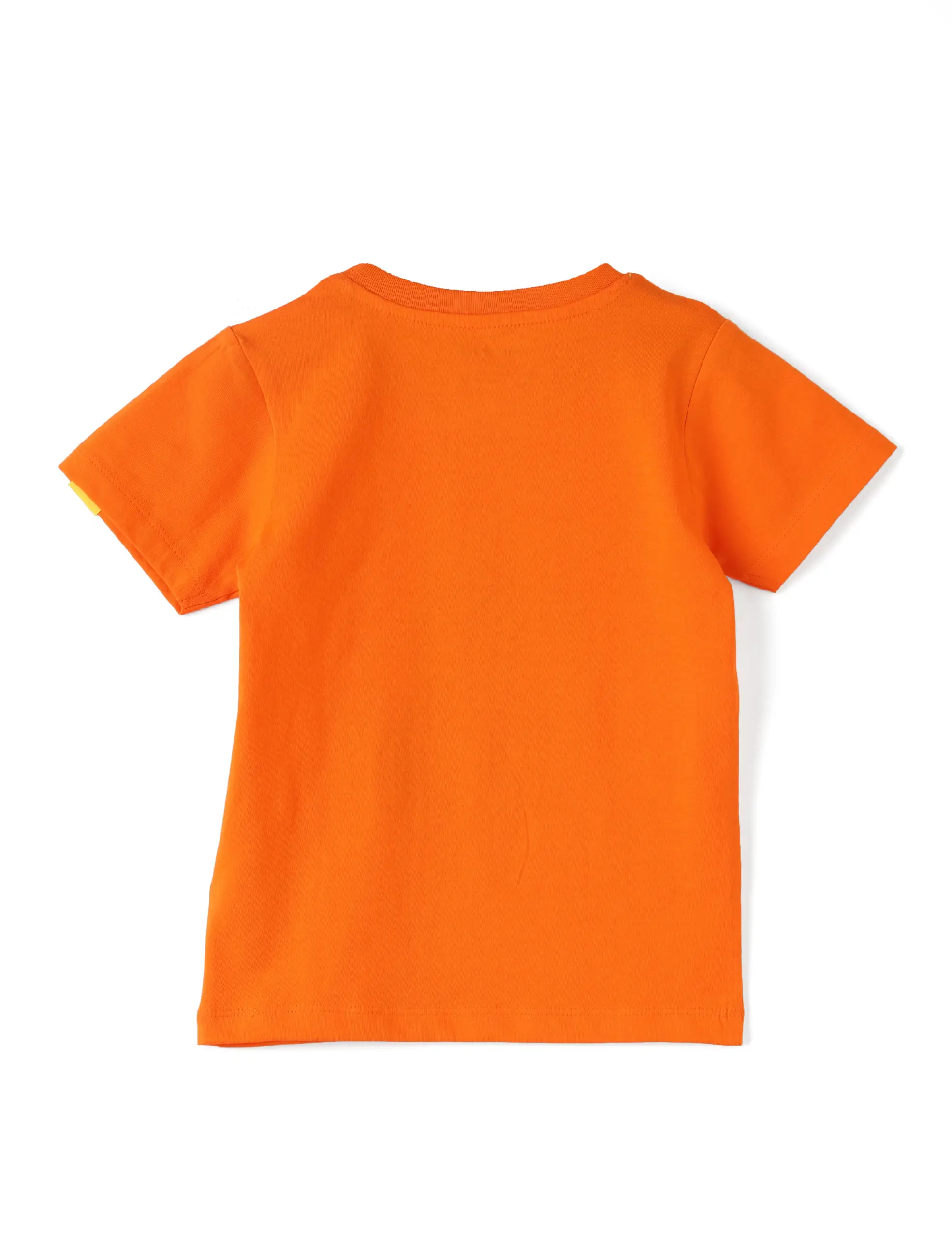 Boys T shirt Cotton Scarlet Ibis Orange Cool Dino - Image 6