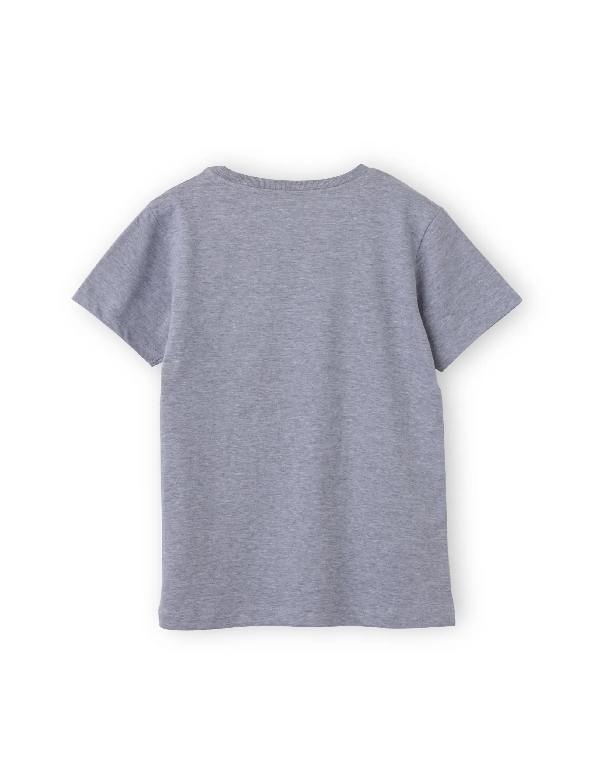 Boys T shirt Cotton Grey Heather Melange Dinosaurs - Image 4